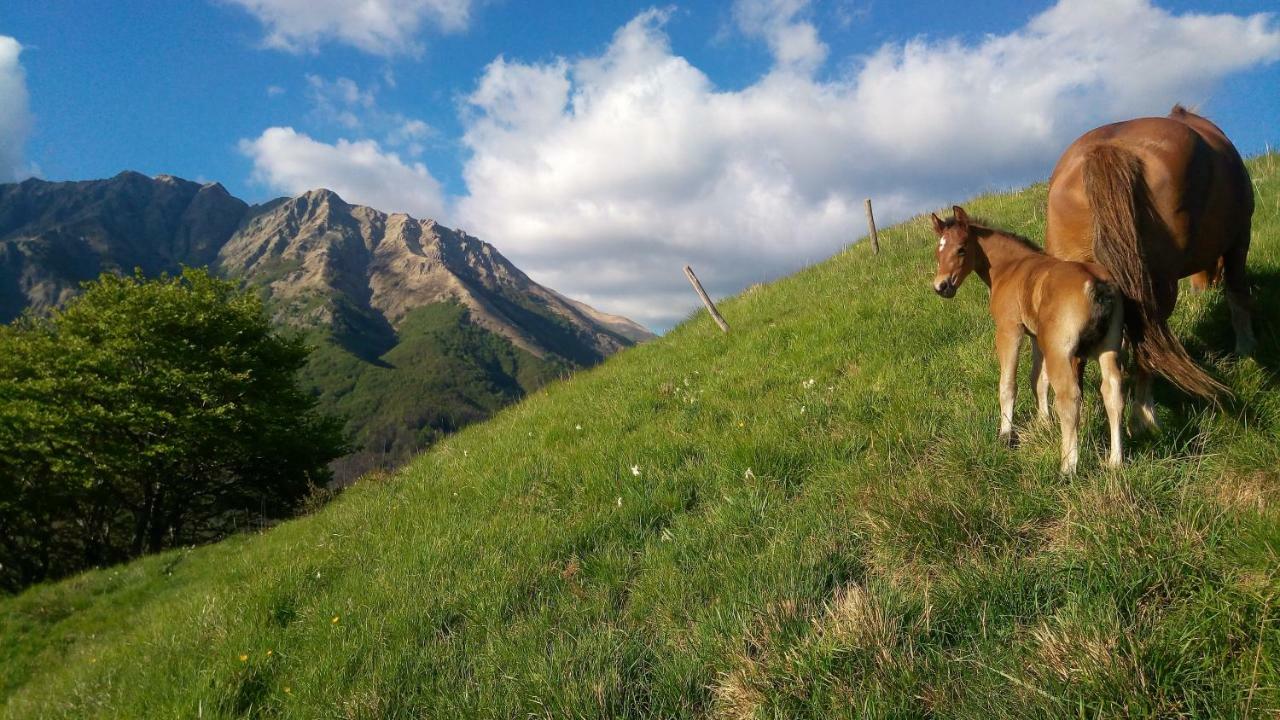 B&B La Bredia Фивиццано Экстерьер фото